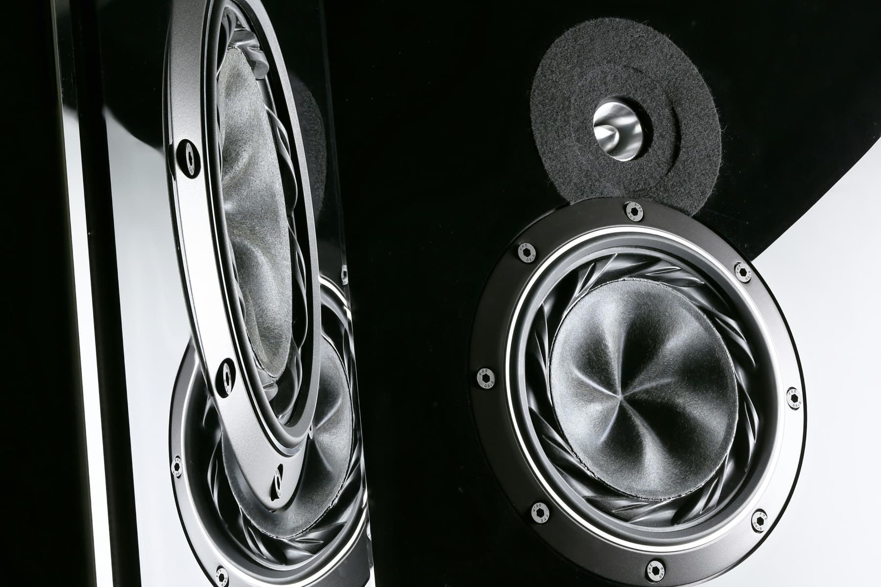 Speaker subwoofer close-up